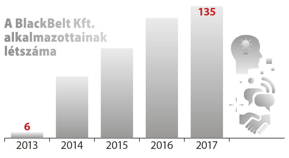 blackbelt-infograf